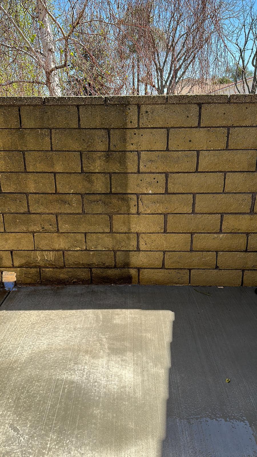 Block wall and concrete at a pressure washing job